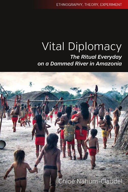 Book cover image for Vital Diplomacy ISBN: 9781805391258